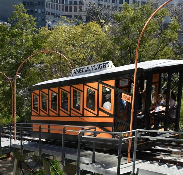 enhance marketing platform today