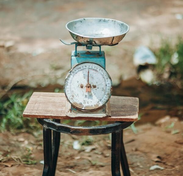 scale online platform marketing experts